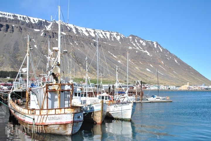 Исландия, Ян-Майен и Шпицберген