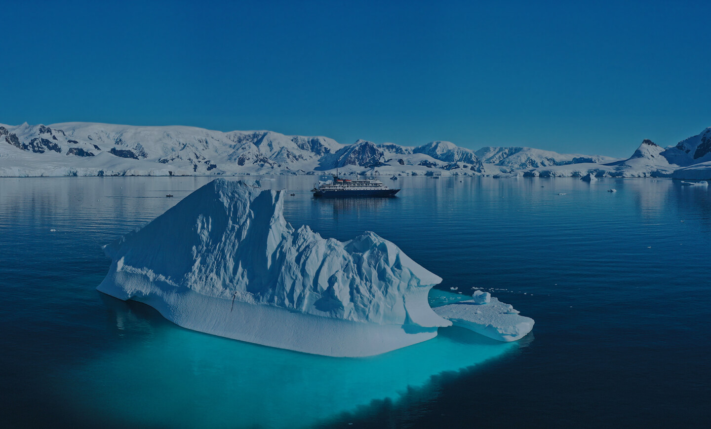 Отзыв о круизе к антарктическому полуострову с Клубом Полярных Путешествий