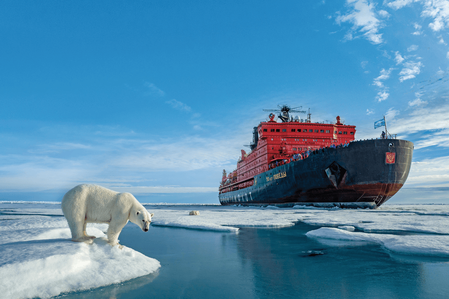 Более половины опрошенных россиян задумывались о поездке в Арктику