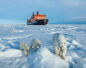 туристическая экспедиция на северный полюс