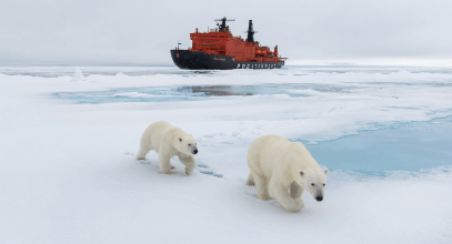 Какой климат и погода в Арктике по месяцам