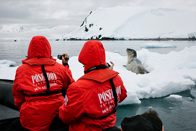 Морской леопард
