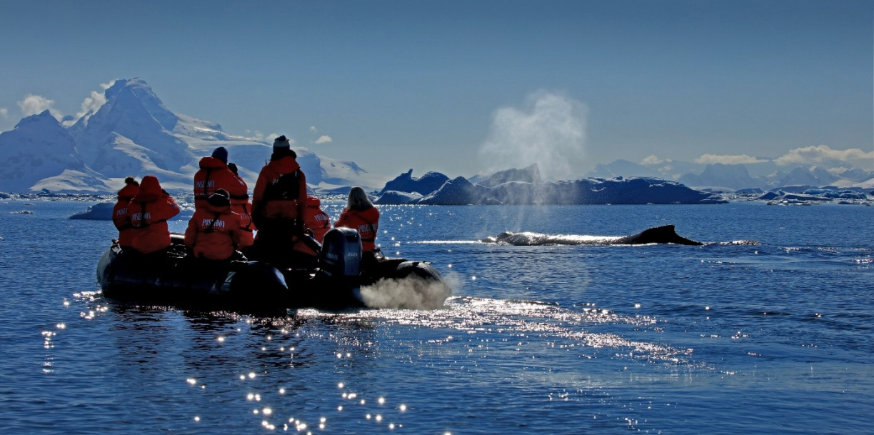 Туристы на лодке фотографируют кита