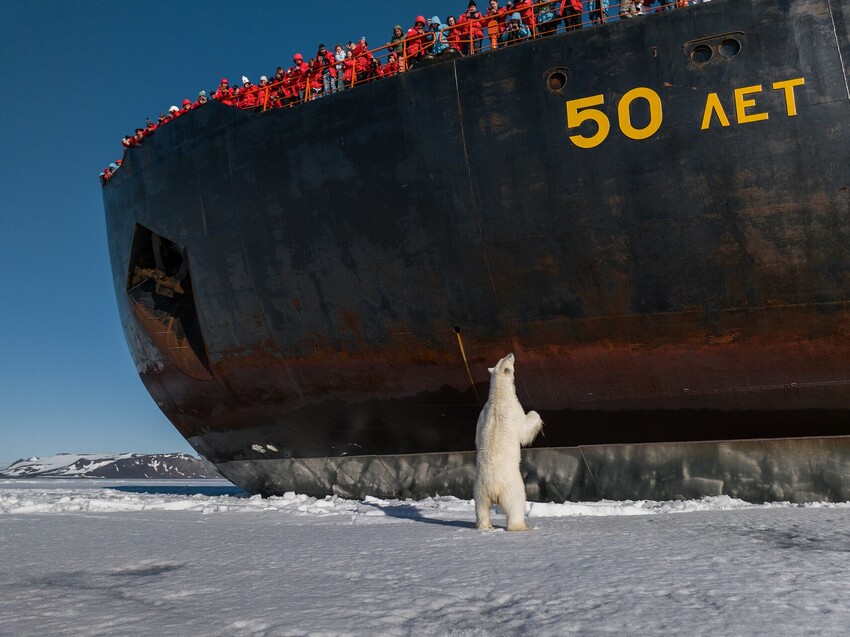 Северный полюс_Вадим Махоров(189).JPEG_compressed.jpeg