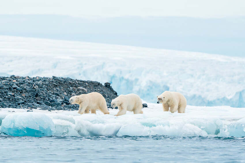 шпицберген_AlexWilliams_1.jpeg шпицберген_AlexWilliams_1.jpeg