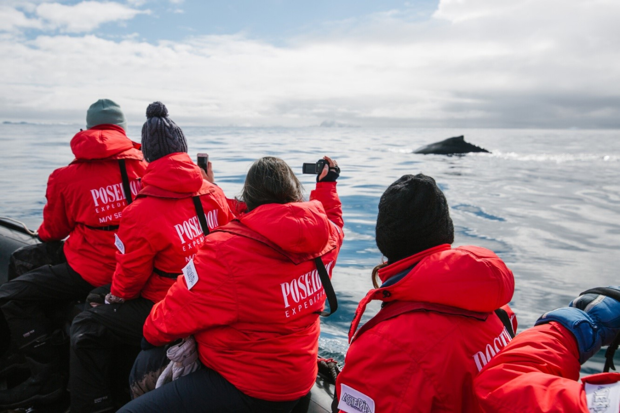 Туристы проплывают мимо кита