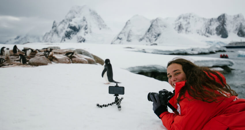 Любопытный пингвин - экспедиционные круизы в Антарктику