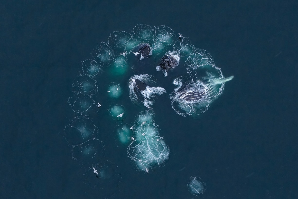 DJI_20251230221819_0025_D-Enhanced-NR.jpg