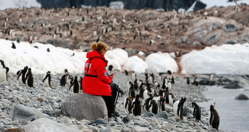 Тур в Антарктиду дает возможность увидеть колонии пингвинов