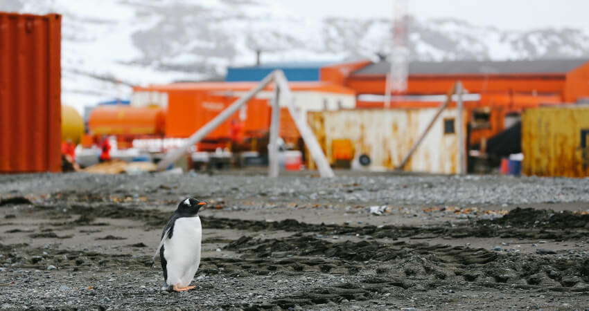 Научная база в Антарктике