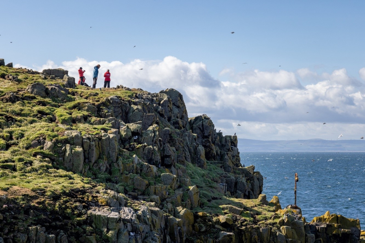 Скалистый берег Фарерских островов