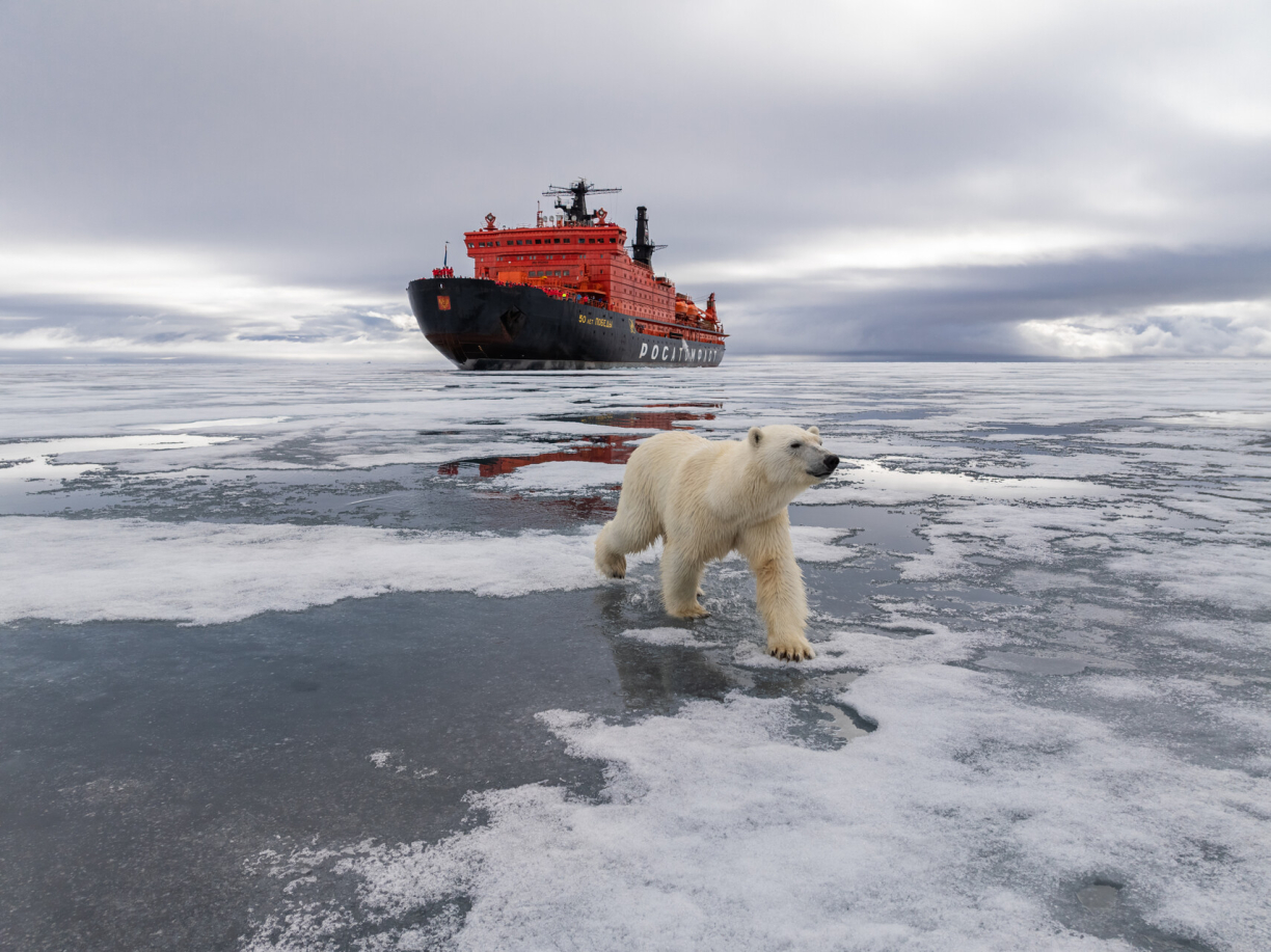 PolarTravelClub_NorthPole_1.jpg_compressed.JPEG