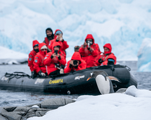 Мир айсбергов и пингвинов
