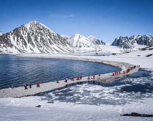 По следам белых медведей