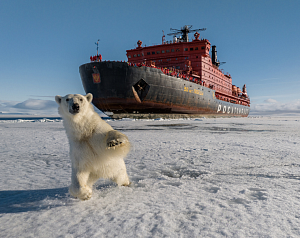 На ледоколе к вершине планеты
