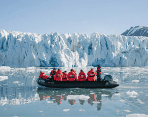 В царстве белого медведя
