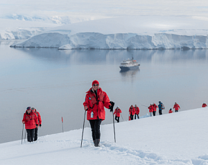 Мир айсбергов и пингвинов