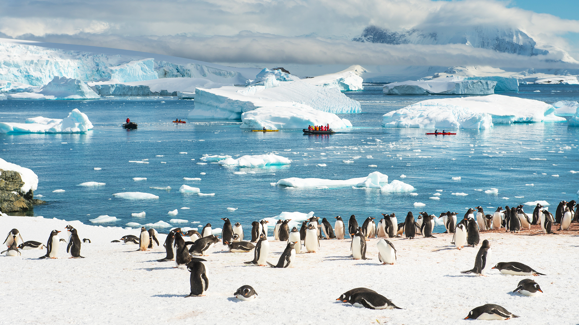Антарктида и Южный полярный круг пингвины