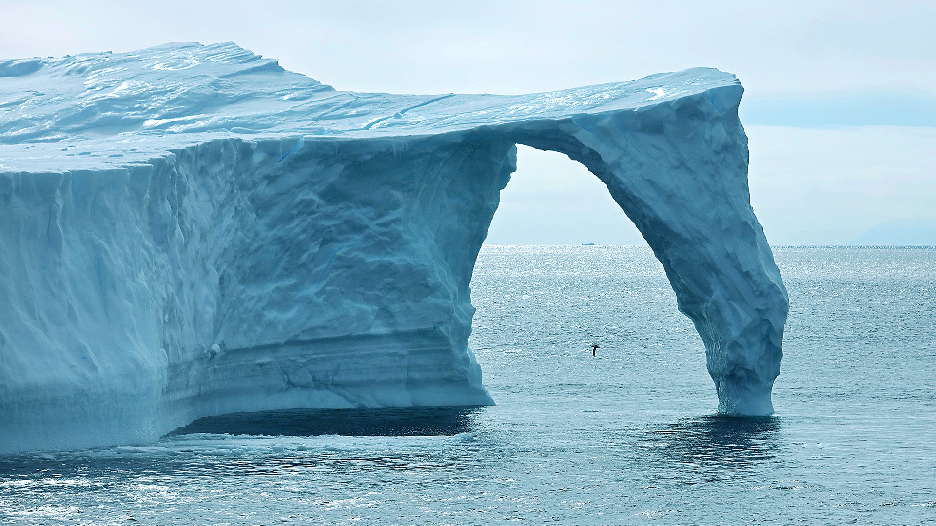 Южная и Западная Гренландия ледник